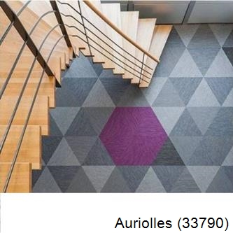 Peinture revêtements et sols à Auriolles-33790